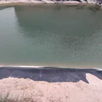 باغ کشاورزی