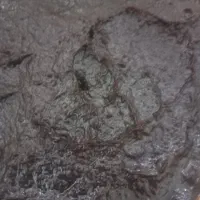 رب انار ارگانیک