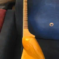 تار چهار گل|سازهای سنتی|تهران, فلسطین (میدان انقلاب)|دیوار