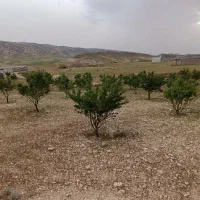 فروش زمین ملکشاهی قلعه جوق