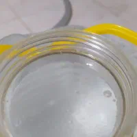 گلاب ۶ منی تلخ و خوش بو