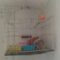 قفس پرنده سالم