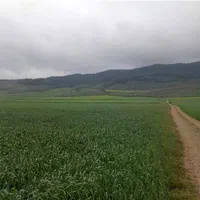 فروش ۷ هکتار باغ