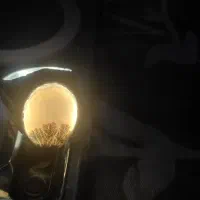 انگشترشجر|جواهرات|ساوه, |دیوار