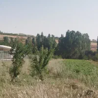فروش زمین کشاورزی و مسکونی