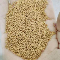 بذر یونجه درجه1 شرکتی