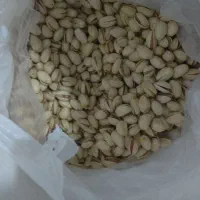 پسته درجه یک|خوردنی و آشامیدنی|تربت جام, کلالی|دیوار