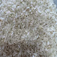 برنج کامفیروزی خوش عطر