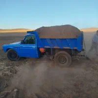 کود گوسفندی