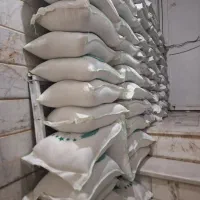 برنج طارم هاشمی برنج گرگان