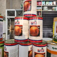 بذرپیاز پویا