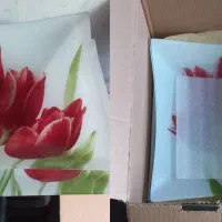 بشقاب و کاسه