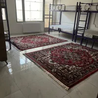 خوابگاه دانشجویی|اجارهٔ کوتاه‌مدت آپارتمان و سوئیت|تبریز, |دیوار