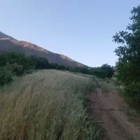 فروش زمین ۱۸۰۰ متری  منطقه نِران، روستای هوانله