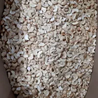 فروش ویژه بادام هندی شکسته مطلوب ترین قیمت