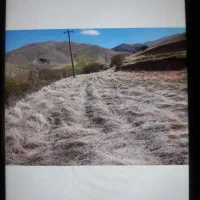 فروش زمین کشاورزی