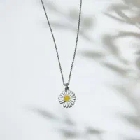 اکسسوری اقصادی