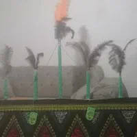 طوغ محرم