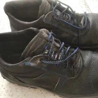 کفش کار