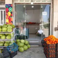 صندوق دار خانم میوه فروشی بهورزی