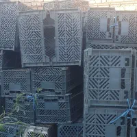 سبد 10کیلویی