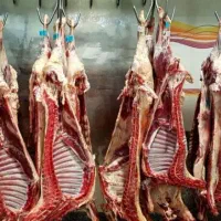 ریز کردن گوشت گوسفندی با دستگاه