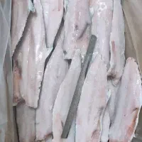 ماهی کالا برگ