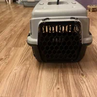 یک عدد باکس نو نصف قیمت برای پت تا ۶ کیلو