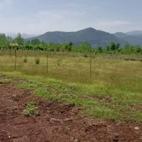 ۶۰۰متر باپروانه ۱۶۵متری تا کرسی در گورابزرمیخ