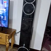 باند دوقلو