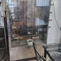 جوجه گردان و فر پیتزا