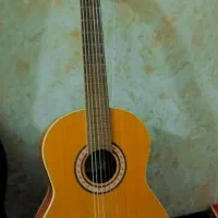 گیتار نو همراه باکاور