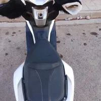 بنلی کی وی ۲۵۰|موتورسیکلت|پرند, فاز ۴|دیوار