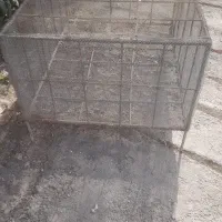 قفس مرغ