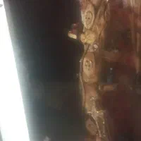 درخت بزرگ شیک