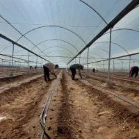 فروش-گلخانه-در-راین