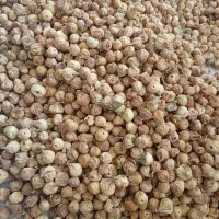 انجیر تازه ونرم