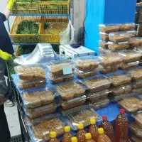 به چند نفر برای هایپرمیوه فروشی. وسبزی خورد کنی|استخدام خدمات فروشگاه و رستوران|تهران, ازگل|دیوار