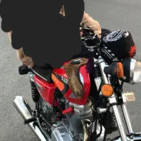 رهرو۴۰۲