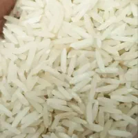 برنج کشت دوم