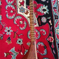 سه تار|سازهای سنتی|سبزوار, باهنر|دیوار