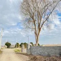 سیصد متری با دسترسی آسان