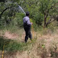 سم پاشی شخم زنی علف زنی وچاله کنی وچاله ستون فنس|خدمات باغبانی و درختکاری|مشکین‌دشت, |دیوار