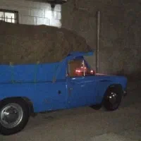 بار بری