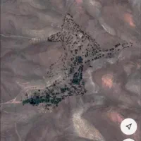 ۶هکتار باغ. سند تک برگ. اکوسیستم بکر و منحصر بفرد.|فروش زمین و ملک کلنگی|نائین, |دیوار