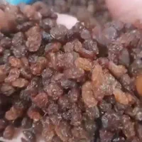 کشمش ویژه نان فانتزی وشیرینی پزا