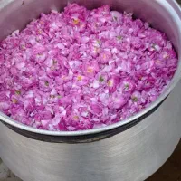 گلاب اصل و خوش عطر