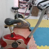 دوچرحه ثابت