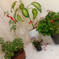 نظافت منزل محل کار