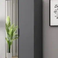 جاکفشی ایستاده آیینه دار درب ریلی (ارسال رایگان)|جاکفشی، کمد، دراور|تهران, بازار|دیوار